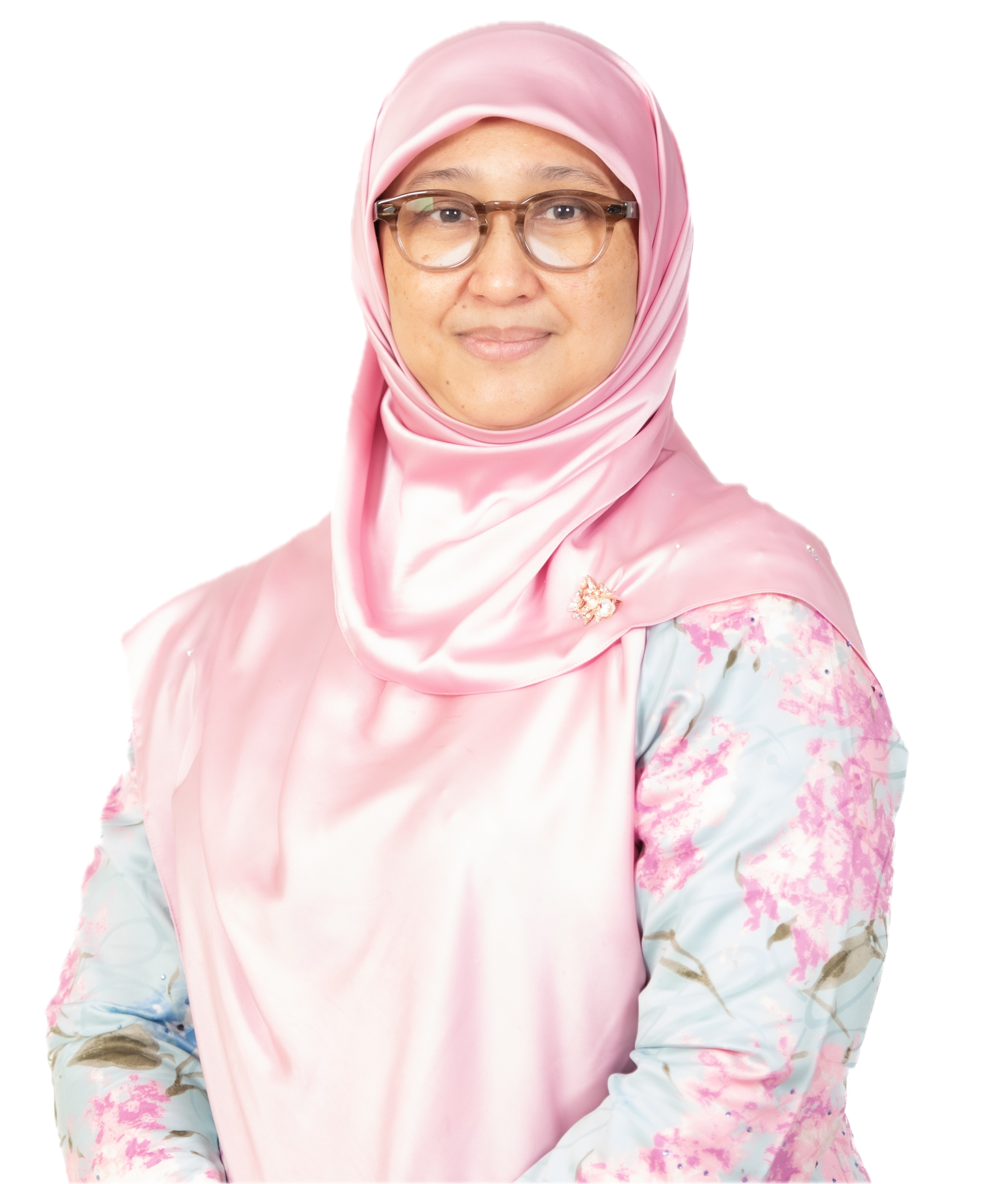 Portrait of Prof Dr Noor Raihan Ab Hamid